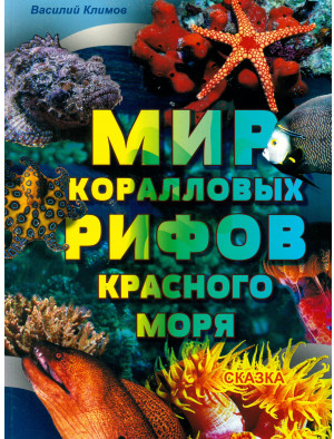 Мир коралловых рифов Красного моря